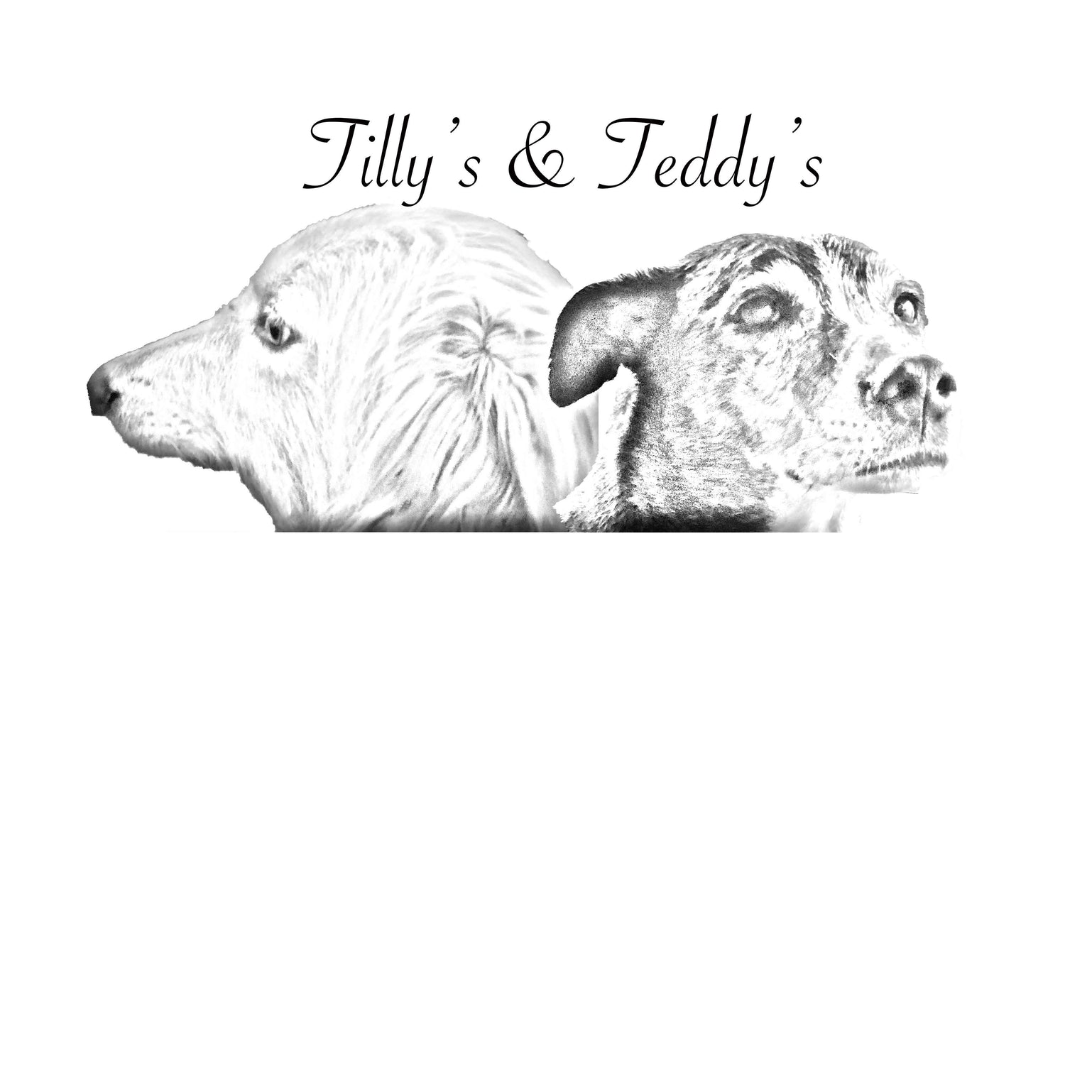 Tilly's and Teddy's Dog supplies 
